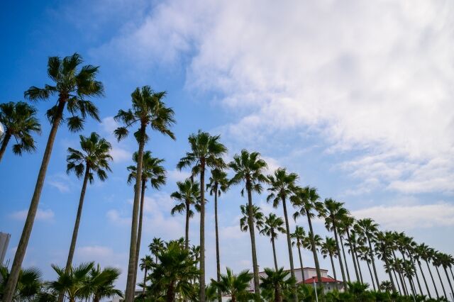 神奈川県で人気の手相風水鑑定
