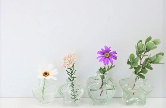 家具配置は観葉植物や神棚を配置する場所までご相談ください｜さこ手相風水鑑定事務所