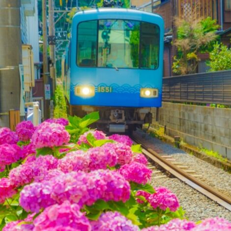 神奈川県の風水鑑定のご依頼なら