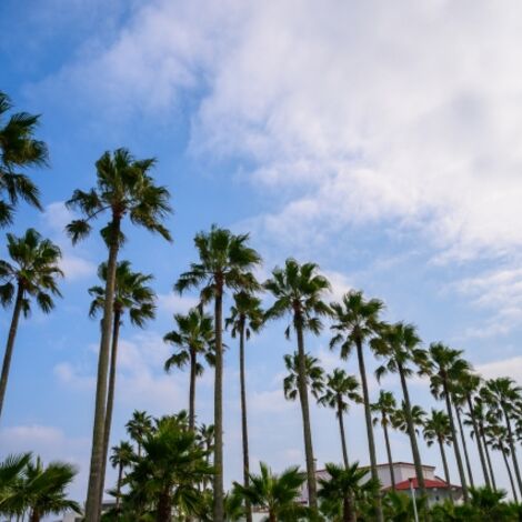 引越してから運が良いと感じられるように