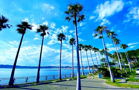 吉日鑑定【お急ぎの方】ご相談ください〈引越し日・入居日・契約日・開業日〉